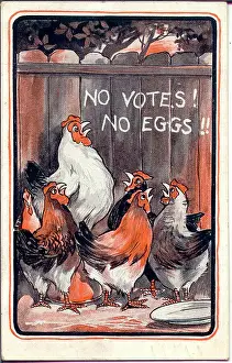 Eggs Prints: Comic postcard, Suffragette hens campaigning for the vote Date: early 20th century