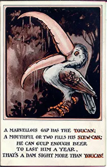 Toucan Prints: Comic postcard, The Toucan Date: early 20th century