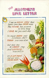 Mushroom Collection: Comic postcard, Vegetable love, The Allotment Love Letter Date: 20th century