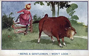 Comic postcard, Woman climbing over stile, with bull in field Date: circa 1918