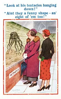 Aquarium Collection: Comic postcard, two women discuss an octopus Date: 20th century