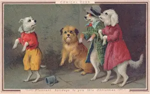 Clothed Prints: Four comical dogs on a Christmas card