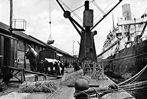 Shortage Prints: Commandeering meat for the army during World War I