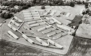 Established Collection: Common Cold Research Unit, Wiltshire