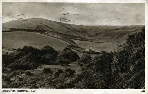 Luccombe Prints: The Common, Luccombe, Somerset