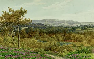 The Common, Midhurst, Sussex