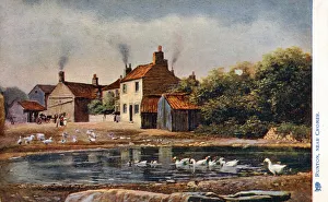 The Common and pond - East Runton nr. Cromer, North Norfolk