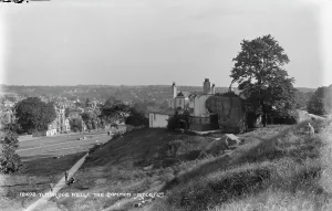 Tunbridge Prints: The Common in Tunbridge Wells