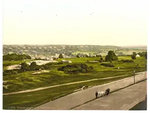 The common, from the Wellington Hotel, Tunbridge Wells, Engl