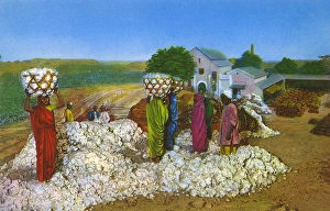 Commonwealth Instiute - Diorama - Cotton growing in India