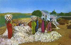 Images Dated 2nd December 2016: Commonwealth Instiute - Diorama - Cotton growing in India