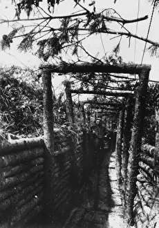 Camouflaged Prints: Communication trench WWI