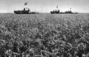 Images Dated 24th June 2016: Communist China - land reclaimed for farming