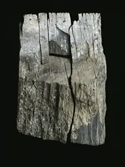 Sedimentary Prints: Shale