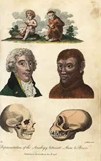 Brute Prints: Comparisons of man and ape