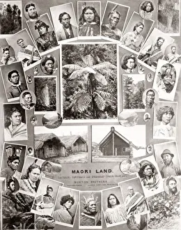Photographers Prints: Composite of Maori images by Burton Bros photographers in Dunedin New Zealand c. 1890