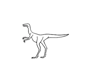 Dinosauria Collection: Compsognathus