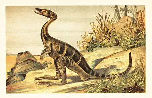Bipedal Prints: Compsognathus longipes, extinct small, carnivorous theropod