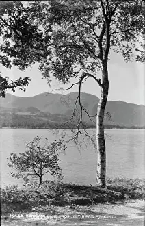 Birch Prints: Comston Lake from Nibthwaite