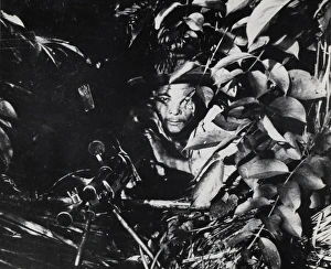 Images Dated 7th June 2016: Concealed machine gun position in the jungle