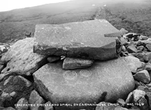 Spiral Prints: Concentric Circle and Spiral on Carnamore Cairn