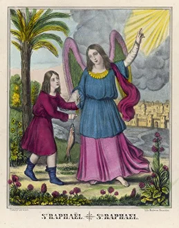Advises Gallery: Concepts / Angels / Raphael