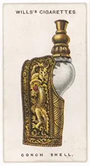 Conch Prints: Conch Shell Talisman