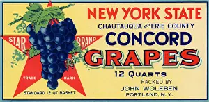 Concord Grape Label