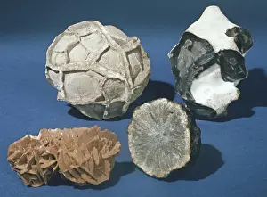 Deposit Prints: Concretions