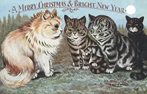 Conferring Prints: Conferring Cats