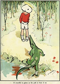 Images Dated 24th February 2010: Confronting a crocodile