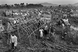 Kivu Prints: CONGO, Democratic Republic of the. Kitchanga