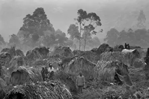 CONGO, Democratic Republic of the. Kitchanga