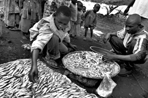 CONGO, Democratic Republic of the. NORTH KIVU