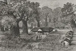 Independent Prints: The Congo - First main Colonial Post established in Kinshasa