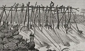 Independent Collection: Congo. Fishermen Wagenya preparing their wooden tripods