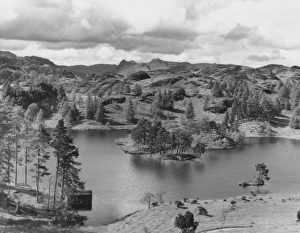 Coniston & Tarn Hows