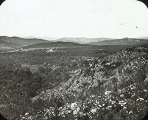 Conk Woods, San Roque