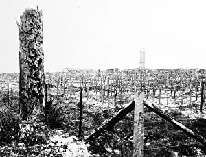 Ridge Prints: Connaught Cemetery, Thiepval Ridge, - WW1