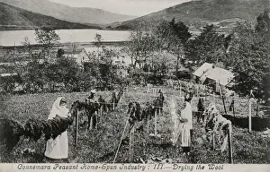 Connemara Peasant Home-Spun Industry - Drying Wool