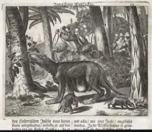Conquistadores Prints: Conquistadores Hunting
