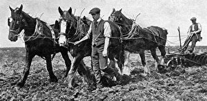 Arable Gallery: Conscientious objectors on Dartmoor