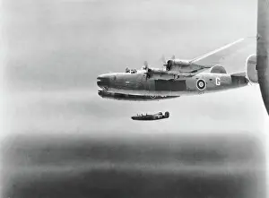 Consolidated B-24 Liberator