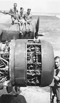 Consolidated B-24 Liberator