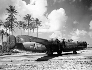 Amid Gallery: Consolidated B-24D Liberator -shown amid Pacific palms