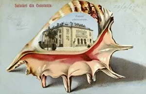 Conch Collection: Constanta - Romania - Administrative Palace