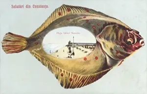 Constanta - Romania - Mamaia Beach