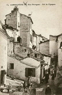 Images Dated 24th March 2016: Constantine, Algeria - a stork nest on Perregaux Street