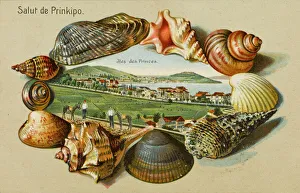 Istanbul Collection: Constantinople - Princes Islands