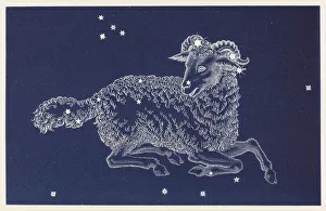 Aries Collection: Aries